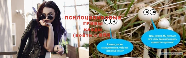 спиды Чердынь
