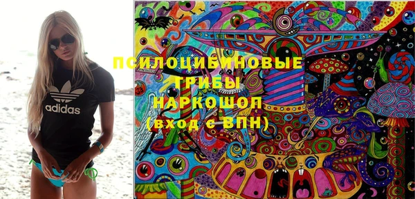 спиды Чердынь